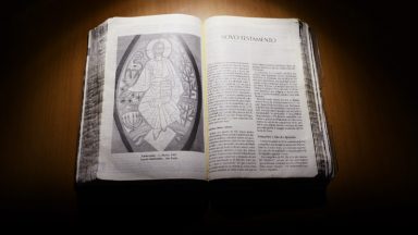 2ª Semana do Tempo Comum - Sexta-feira