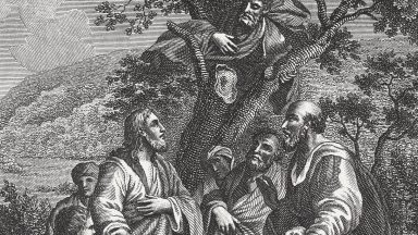 Uma breve reflexão do encontro de Zaqueu com Jesus