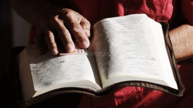 Davi e o Livro dos Salmos