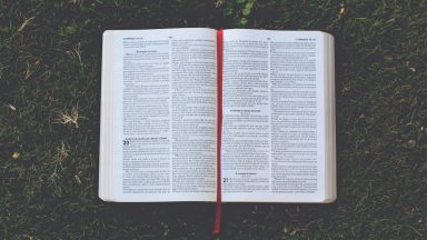 A cada dia precisamos purificar a alma e o coração