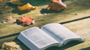 Supere as provações para alcançar a perseverança