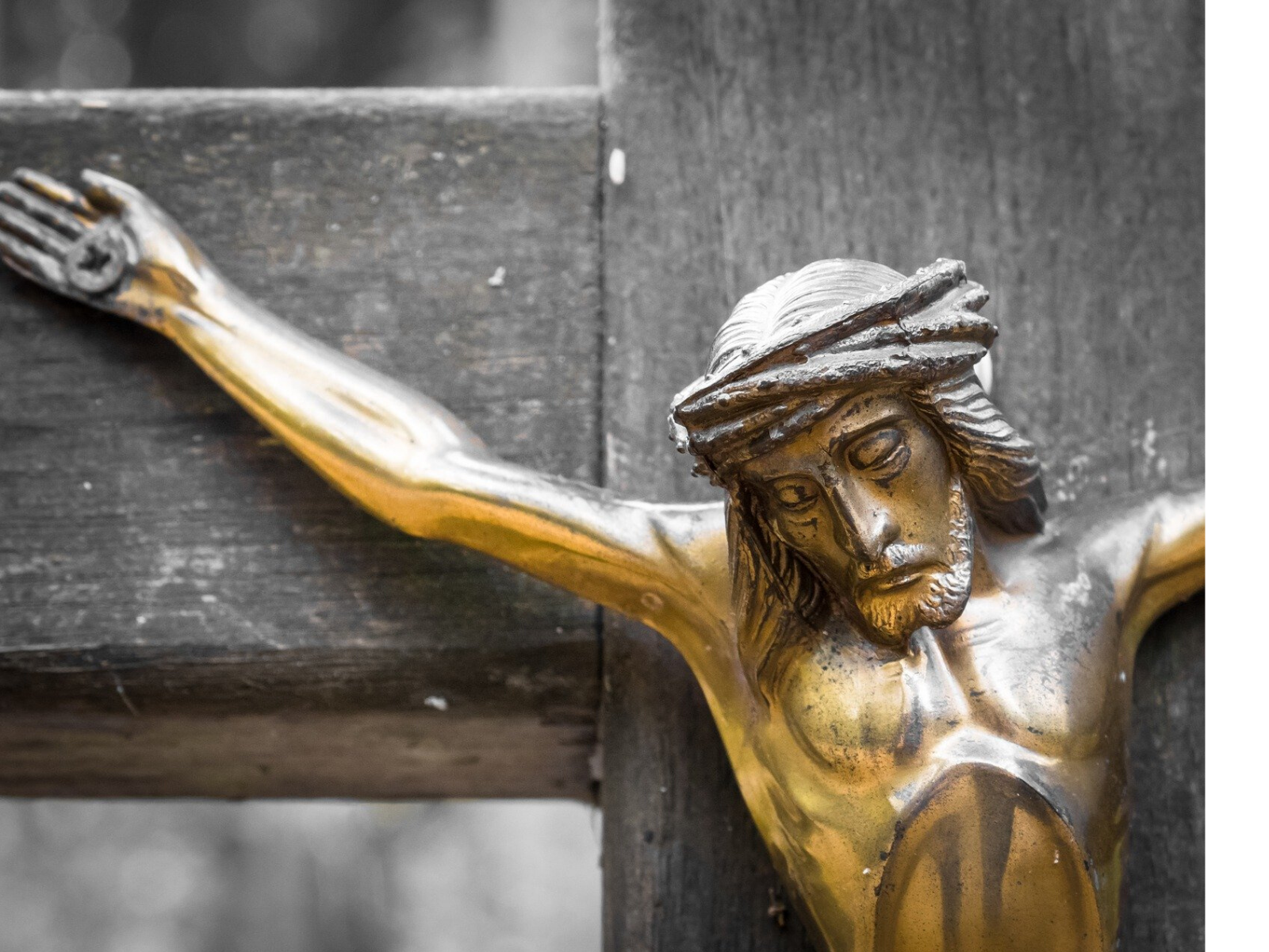 Jesus tomou sobre Si as nossas iniquidades - Capa do Portal