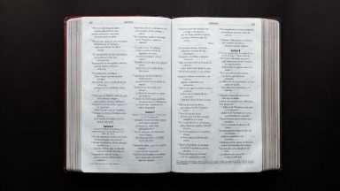Voltemo-nos para Jesus na Sua Palavra e na Eucaristia