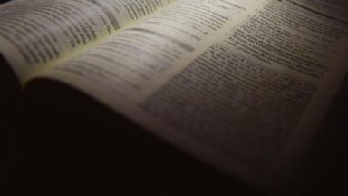 O nosso apostolado consiste em permanecermos em Jesus