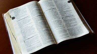 Peçamos a Deus a graça de amarmos uns aos outros