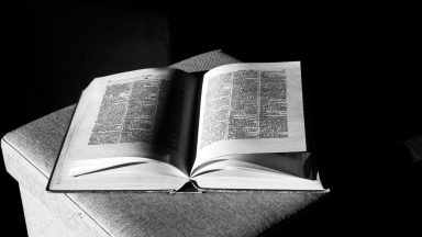 Sejamos revestidos pela Misericórdia Divina