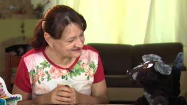 A rosa é a rainha das flores