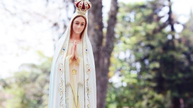 Maria, nossa Advogada e Mãe