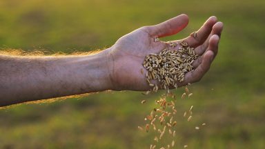 Cultivar a misericórdia