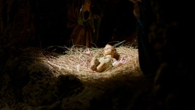 Na tua Luz veremos a luz