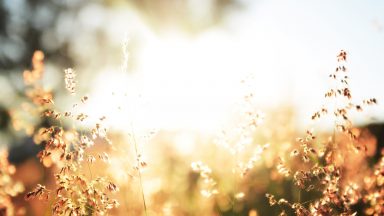 Jamais perca suas esperanças