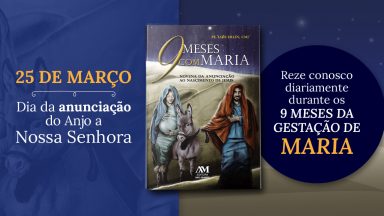 Livro 9 Meses com Maria