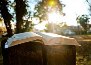 Qual é a vontade de Deus para a sua vida?
