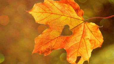 “O homem olha a aparência, o Senhor olha o coração” (1Sm 16,7)