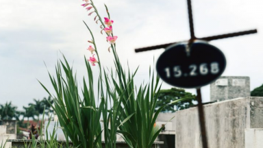 Por que enterramos nossos mortos?