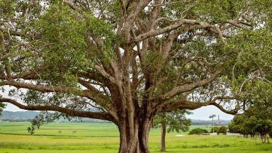 Os sinais da vinda de Jesus