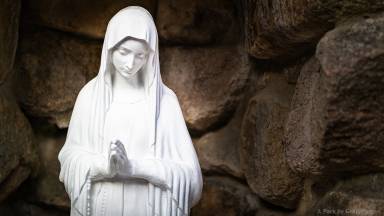 A santidade está a seu alcance