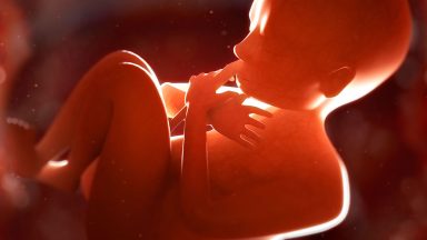 CNBB reprova iniciativa do governo federal de flexibilização do aborto