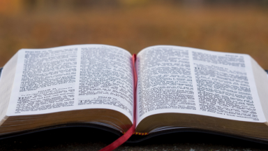Domingo da Palavra de Deus terá Missa presidida pelo Papa