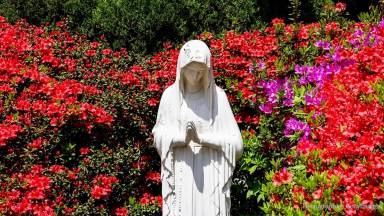 A mãe e os irmãos de Jesus