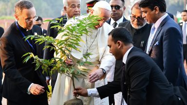 Laudato si', do Papa Francisco, inspira ações pelo meio ambiente