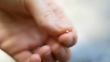 O crescimento do reino de Deus