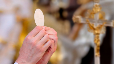 Papa: “que a nossa vida seja trigo moído e se torne pão que alimenta”