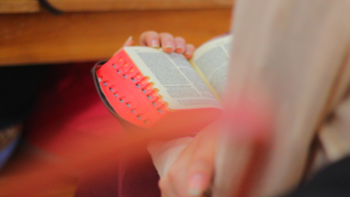 Os Evangelhos Sinóticos