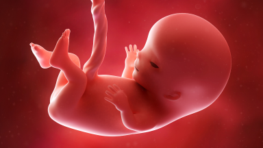 CNBB reitera posição contrária à promoção do aborto no Brasil