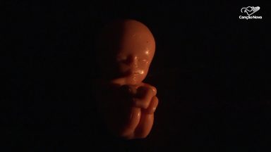Insensibilidade humana deixa humanidade em perigo