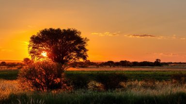 Evangelizar a África, desbravar um novo tempo