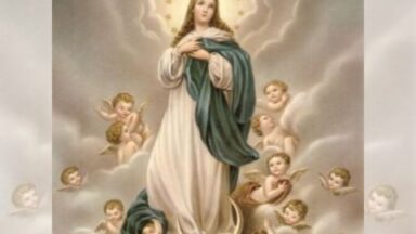 Nossa Senhora da Imaculada Conceição, um dogma de fé