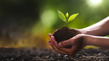 Cultivando o futuro, a arte de aprender a esperança