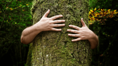 Ecologia espiritual, um olhar de fé para a crise ambiental