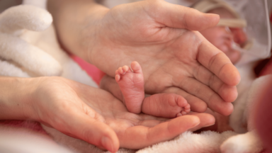 Evangelium Vitae completa 30 anos como referência para ações pró-vida