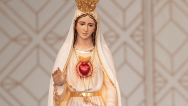 Imaculado Coração de Maria, escola de amor e pureza