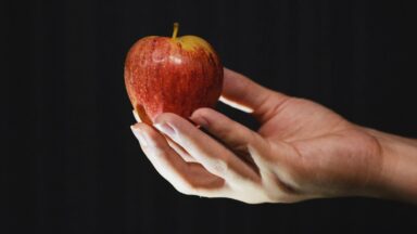 Por que temos de sofrer as consequências do pecado de Adão e Eva?