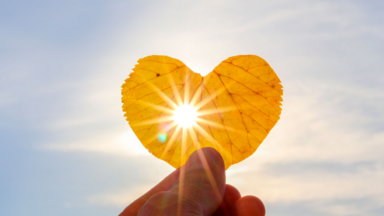 A leveza na vida mora nos pequenos gestos de amor