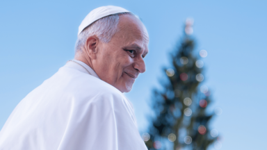 Presépio e árvore de Natal são sinais de fé e esperança, lembra Papa