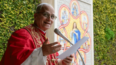 Papa inaugura mosaico mariano e imagem de santa peruana no Vaticano
