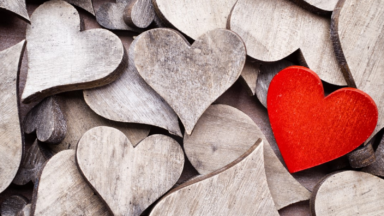 A lei do amor precisa reger a Terra
