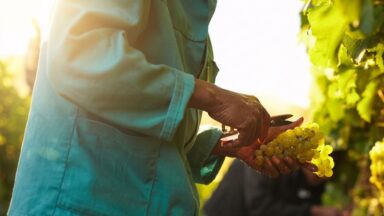 A lógica de Deus supera a meritocracia humana