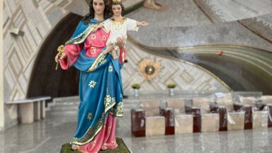 Seguidores de Dom Bosco, filhos de Maria Auxiliadora
