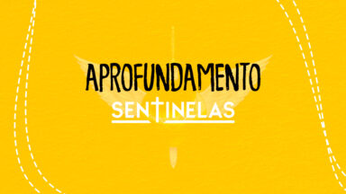 Aprofundamento Sentinelas