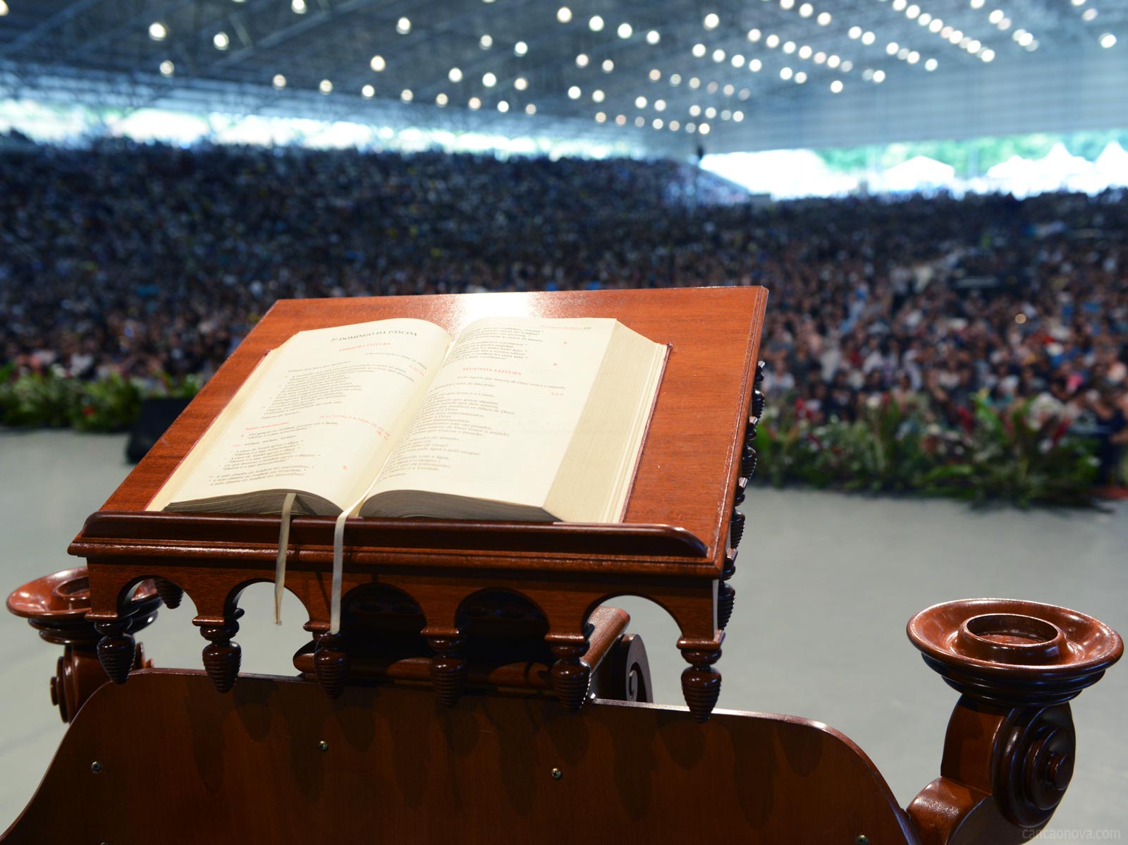 Liturgia Diária | Domingo De Ramos