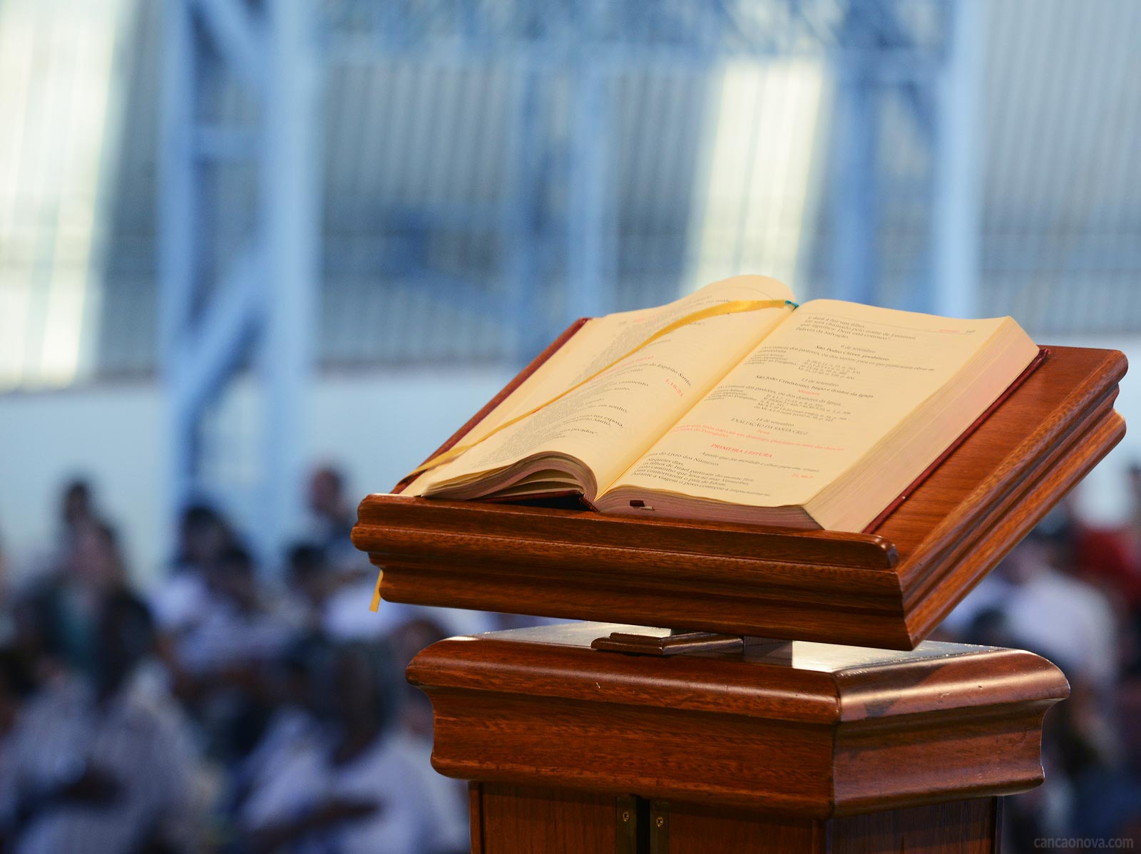 Liturgia Diária | Domingo De Ramos