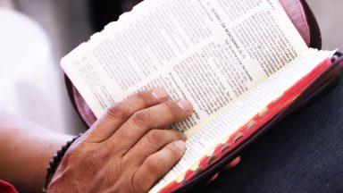 Vivamos nuestra fe en la expectativa del encuentro con el Señor