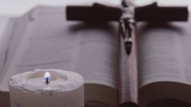Entrega tu vida a los cuidado del Buen Pastor
