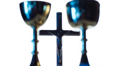 Deja la Palabra de Dios fructificar en el terreno de tu corazón