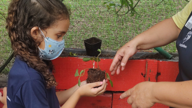 Dia Mundial do Meio Ambiente: Conheça a Horta da Mamãe Margarida 